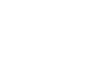 Digital Cluster — complex services in the field of digital marketing